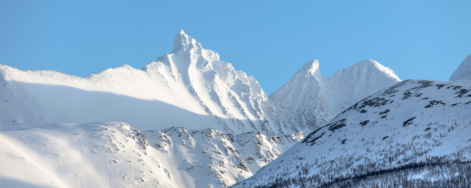 Lyngen Alps skitouring