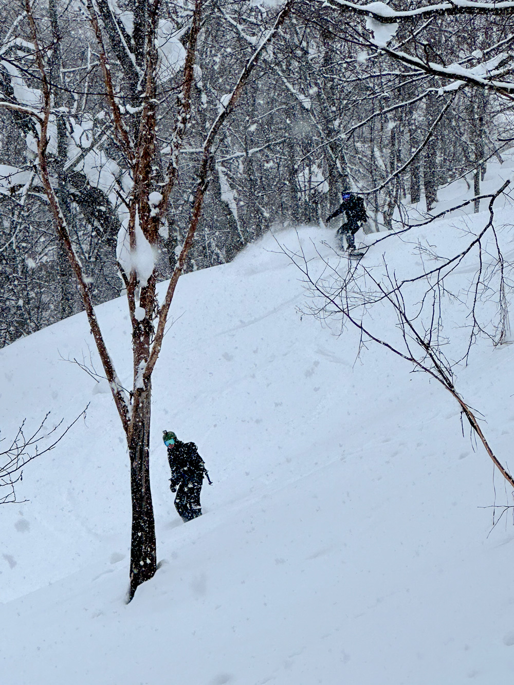 Japow Hokkaido Snowboard trip