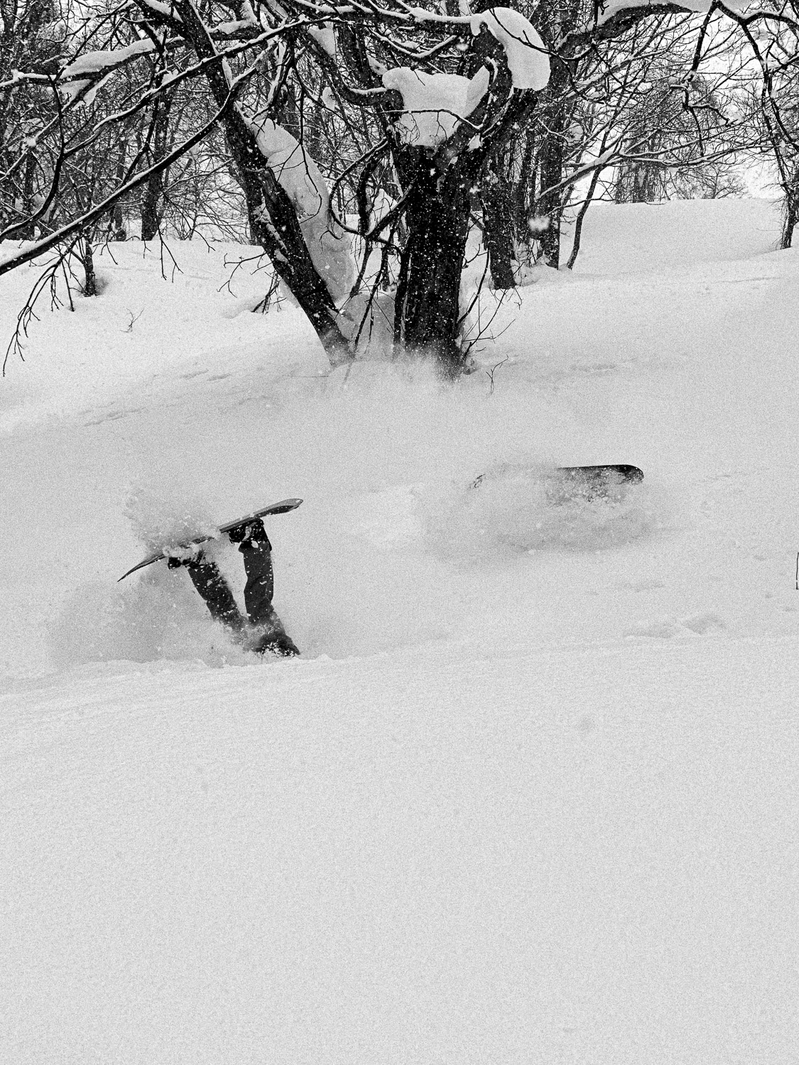 Upside down in the powder