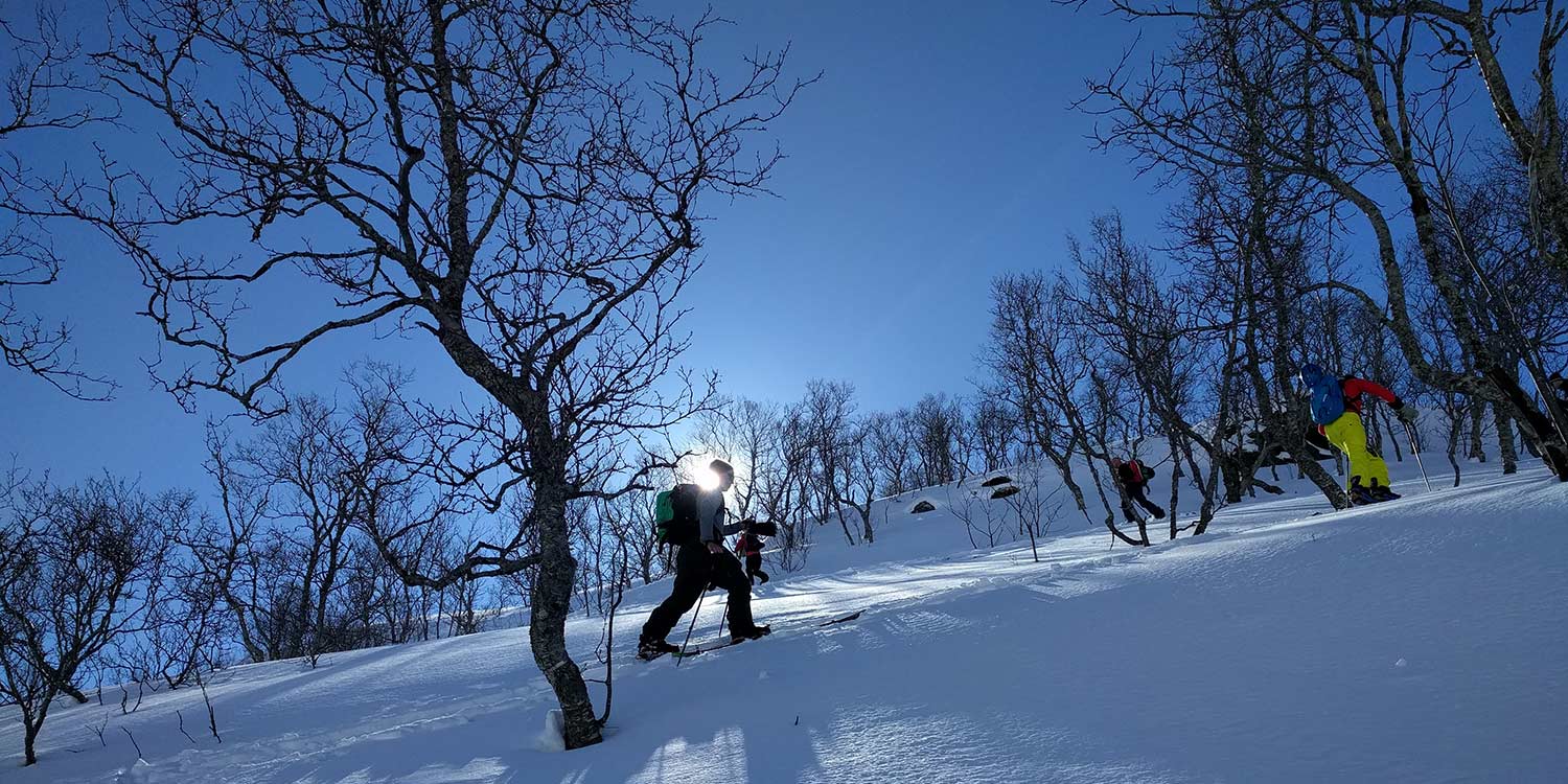 splitboarding lofoten